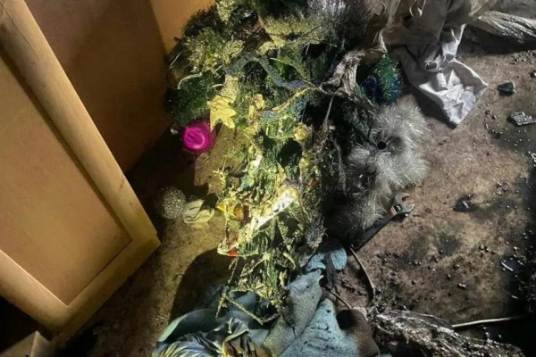 В Кургане квартира загорелась из-за гирлянды на новогодней елке