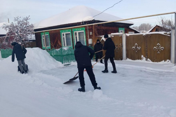 Дети в Курганской области вооружились лопатами и расчистили снег Дети в Курганской области вооружились лопатами и расчистили снег