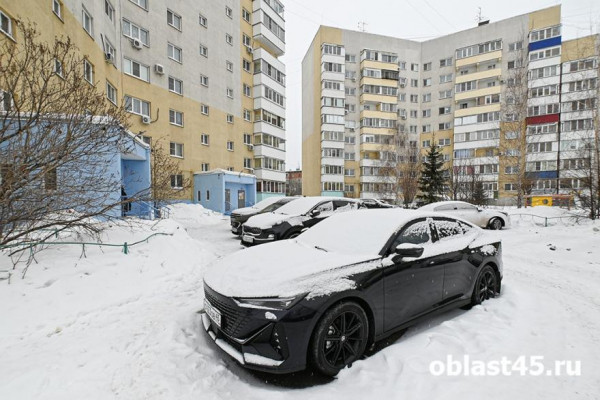 Как курганцам сменить нерадивую управкомпанию Как курганцам сменить нерадивую управкомпанию