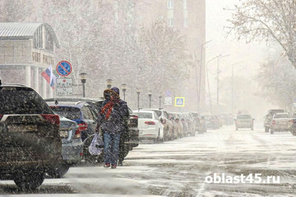 Госавтоинспекция выступила с обращением к курганским водителям Госавтоинспекция выступила с обращением к курганским водителям