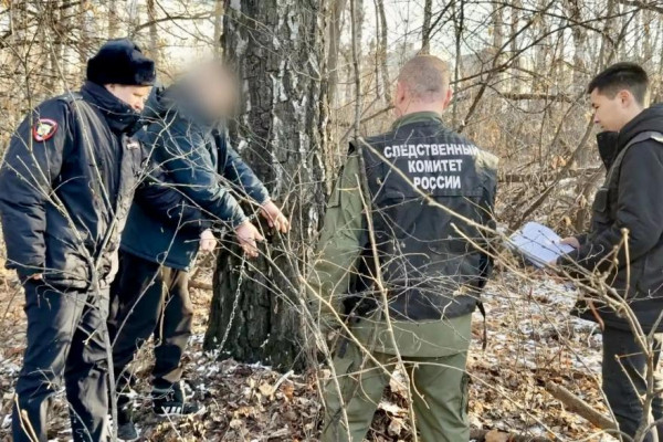 В Кургане перед судом предстанет житель Заозёрного, который убил и расчленил женщину