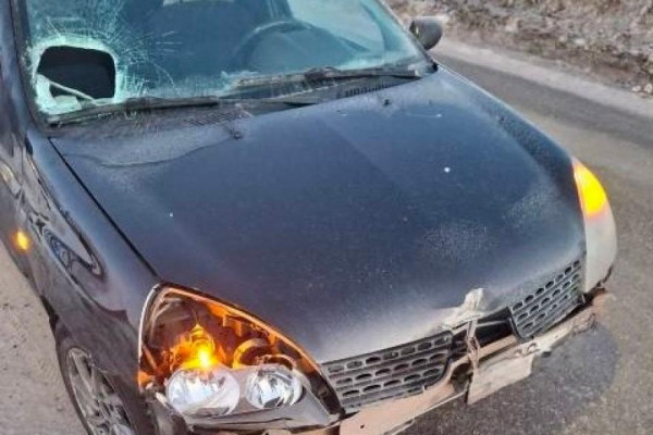 В Шадринске 15-летняя девушка попала под колёса автомобиля