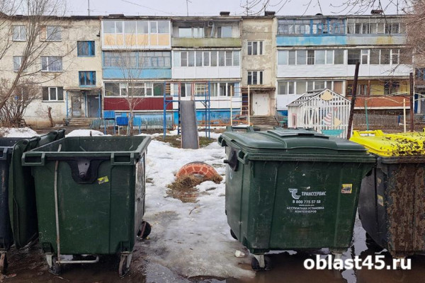Косуля вышла к мусорным бакам в Заозерном микрорайоне Кургана Косуля вышла к мусорным бакам в Заозерном микрорайоне Кургана