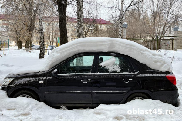Весна в Кургане: во дворах «оттаяли» «автоподснежники». Что с ними делать по закону? Весна в Кургане: во дворах «оттаяли» «автоподснежники». Что с ними делать по закону?