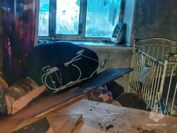 Одни дома: в Курганской области в пожаре погибли двое детей