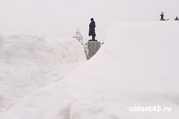 Дорожники Кургана вывезли из города 388 тысяч тонн снега с начала года