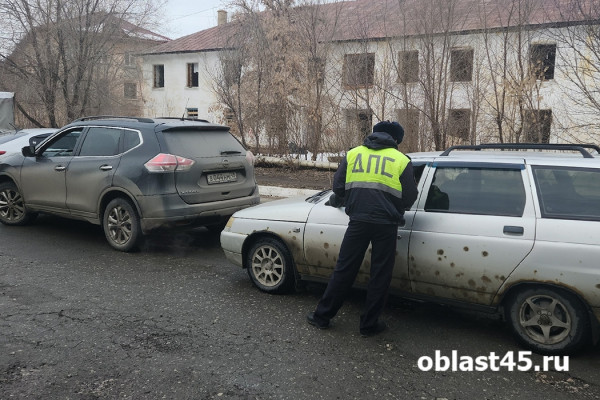 Под «кирпич» через двор: как курганские водители игнорируют запрет ГАИ Под «кирпич» через двор: как курганские водители игнорируют запрет ГАИ
