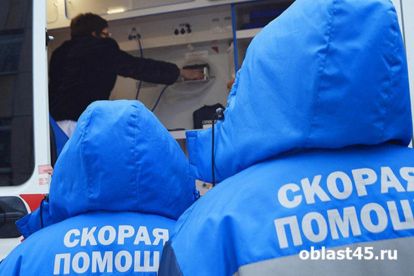 Под Курганом на рабочего завода рухнуло дерево во время разгрузки леса Под Курганом на рабочего завода рухнуло дерево во время разгрузки леса