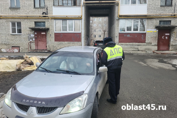 Под «кирпич» через двор: как курганские водители игнорируют запрет ГАИ Под «кирпич» через двор: как курганские водители игнорируют запрет ГАИ