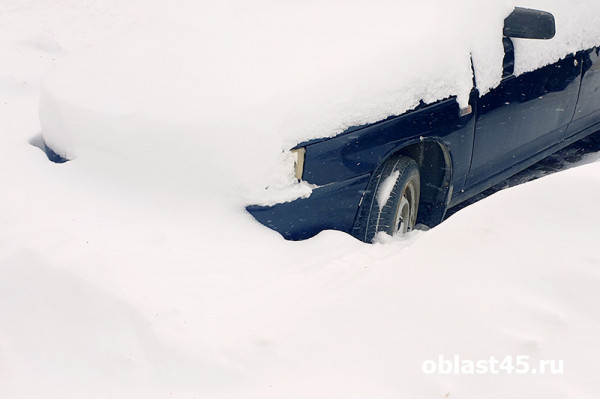 Весна в Кургане: во дворах «оттаяли» «автоподснежники». Что с ними делать по закону? Весна в Кургане: во дворах «оттаяли» «автоподснежники». Что с ними делать по закону?