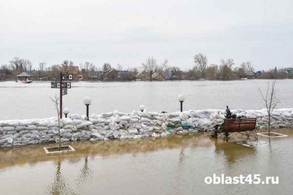 Опубликован прогноз уровней воды в реках Курганской области на период половодья-2026 Опубликован прогноз уровней воды в реках Курганской области на период половодья-2026
