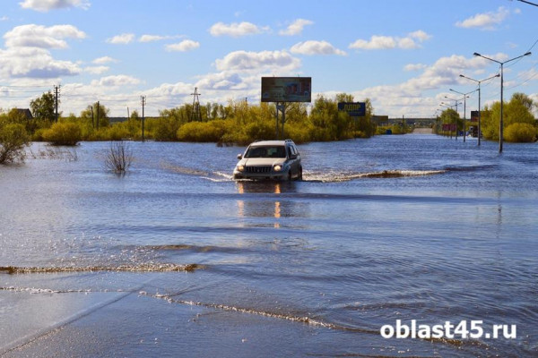 В Курганской области из-за подтопления закрыли дорогу в санаторий В Курганской области из-за подтопления закрыли дорогу в санаторий