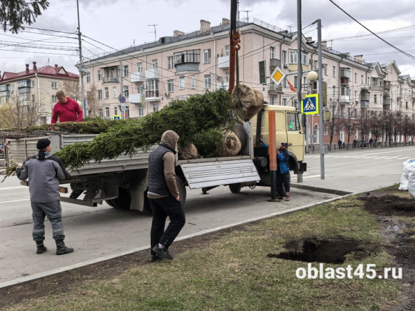 От Гоголя до шоссе Тюнина: в Курган завезли ели из Перми и это только начало кампании От Гоголя до шоссе Тюнина: в Курган завезли ели из Перми и это только начало кампании