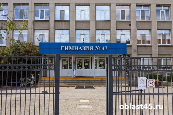 Курганский гимназист разработал дневник с искусственным интеллектом Курганский гимназист разработал дневник с искусственным интеллектом
