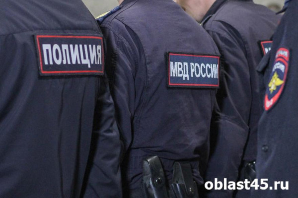 В Курганской области за два дня нашли 30 преступников