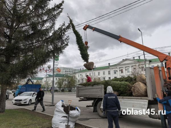 От Гоголя до шоссе Тюнина: в Курган завезли ели из Перми и это только начало кампании От Гоголя до шоссе Тюнина: в Курган завезли ели из Перми и это только начало кампании