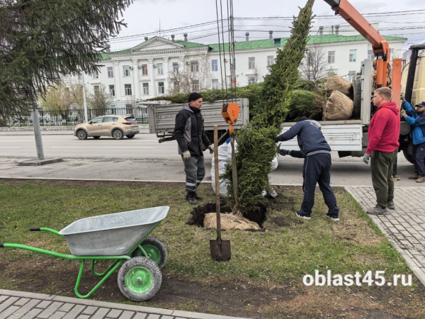 От Гоголя до шоссе Тюнина: в Курган завезли ели из Перми и это только начало кампании От Гоголя до шоссе Тюнина: в Курган завезли ели из Перми и это только начало кампании