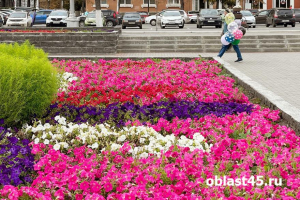 В парках Кургана высаживать цветы начнут 1 мая В парках Кургана высаживать цветы начнут 1 мая