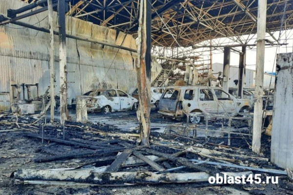 На одной из улиц Кургана сгорел легковой автомобиль На одной из улиц Кургана сгорел легковой автомобиль