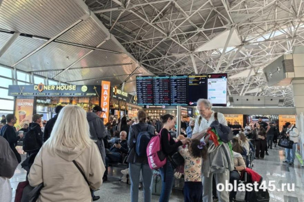 В московском аэропорту сняли все ограничения на полёты В московском аэропорту сняли все ограничения на полёты