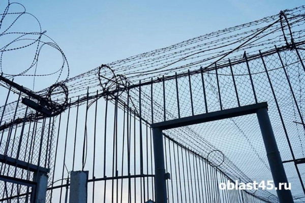 В Зауралье пенсионерка, подросток и их приятели устроили групповой грабеж с проникновением в дом