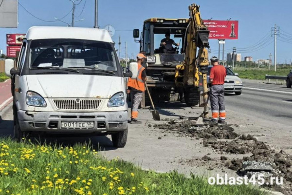 Блокада ради безопасности на шоссе Тюнина: потомок Илизарова борется за бизнес в Кургане
