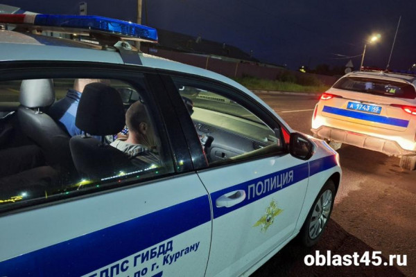 В Курганской области за праздники поймали 29 пьяных водителей В Курганской области за праздники поймали 29 пьяных водителей