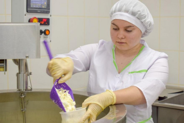 В Курганской области студенты варят сыр на отечественных заквасках В Курганской области студенты варят сыр на отечественных заквасках