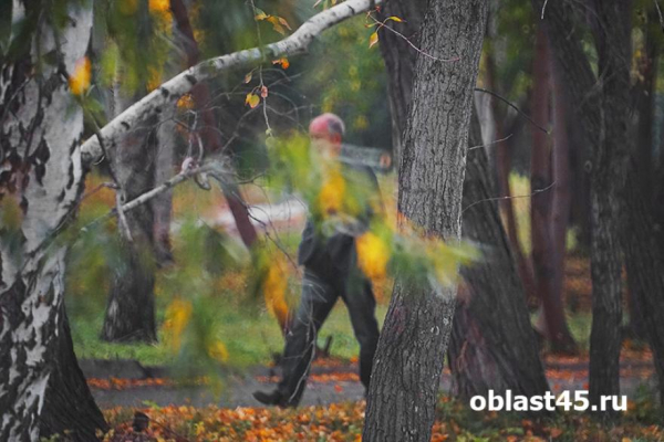 Убийство 28‑летней давности раскрыто в Курганской области