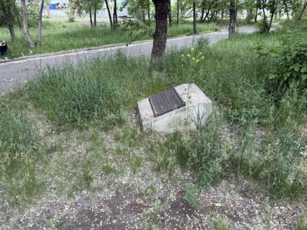 Старообрядческий сквер в Кургане зарастает травой Старообрядческий сквер в Кургане зарастает травой