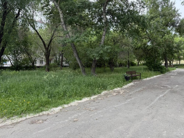 Старообрядческий сквер в Кургане зарастает травой Старообрядческий сквер в Кургане зарастает травой