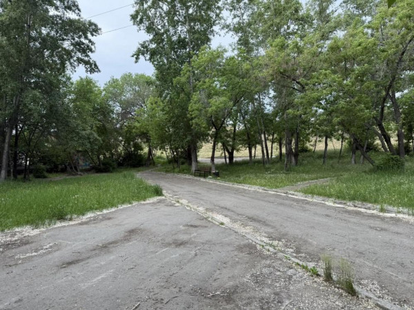 Старообрядческий сквер в Кургане зарастает травой Старообрядческий сквер в Кургане зарастает травой