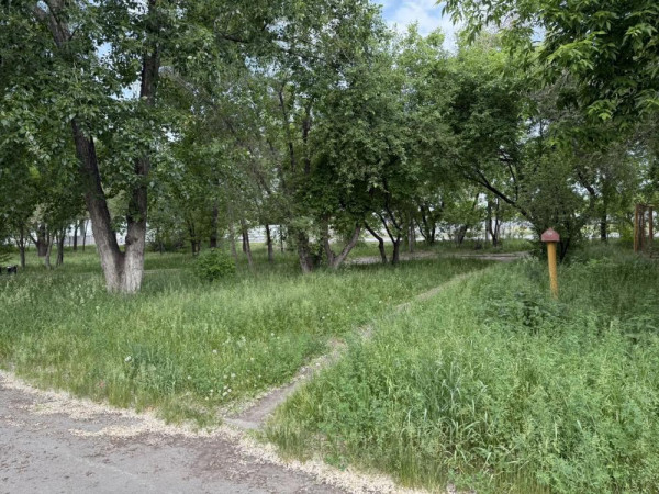 Старообрядческий сквер в Кургане зарастает травой Старообрядческий сквер в Кургане зарастает травой