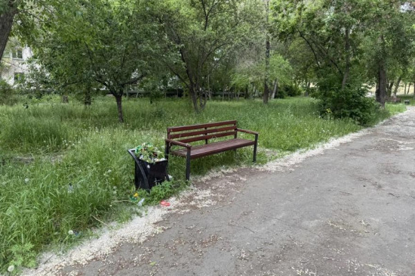 Старообрядческий сквер в Кургане зарастает травой Старообрядческий сквер в Кургане зарастает травой