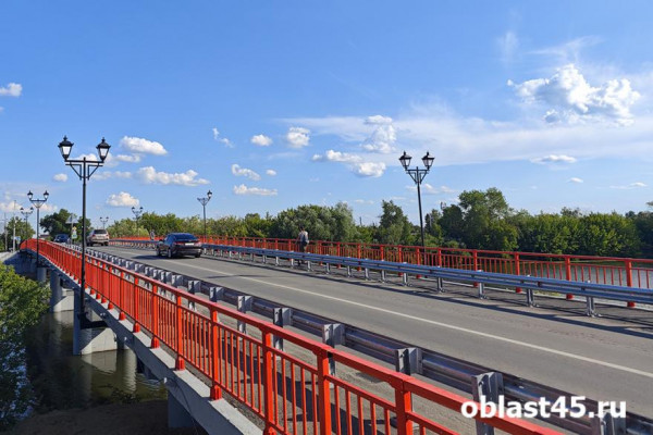 В Кургане женщина два дня похищала петуньи с Кировского моста В Кургане женщина два дня похищала петуньи с Кировского моста