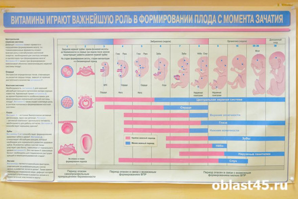 Карта инноваций для репродуктивного здоровья: в России создадут навигатор медицинских запросов Карта инноваций для репродуктивного здоровья: в России создадут навигатор медицинских запросов