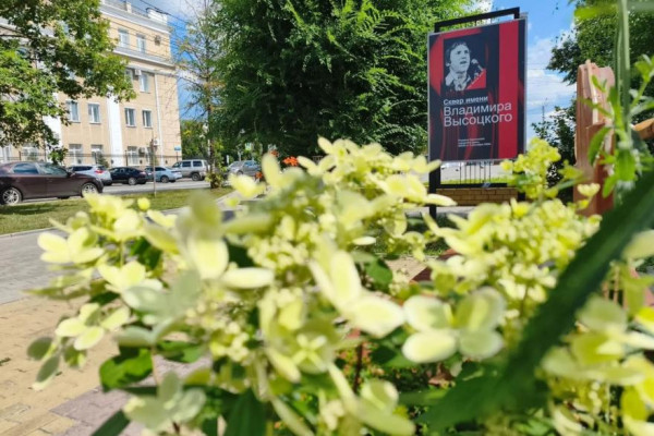 В Кургане в сквере имени Высоцкого высадили многолетние растения В Кургане в сквере имени Высоцкого высадили многолетние растения