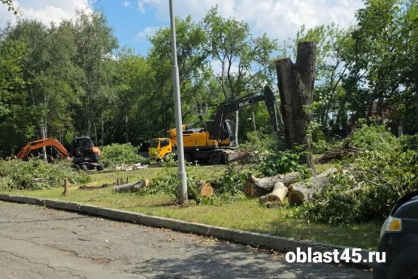 Власти Кургана объяснили вырубку деревьев возле ЦПКиО