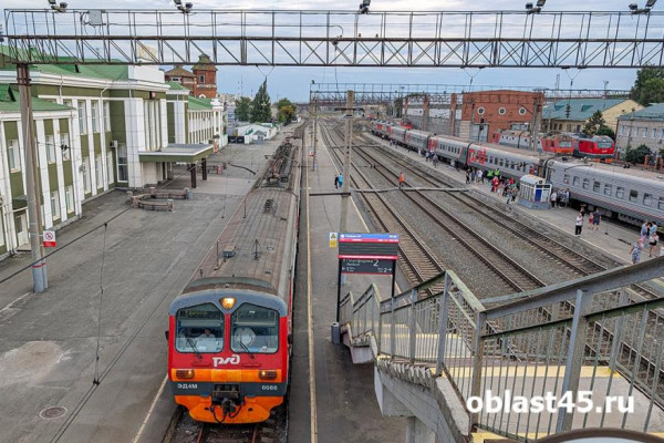 В Курганской области на железной дороге за полгода пострадали два человека В Курганской области на железной дороге за полгода пострадали два человека
