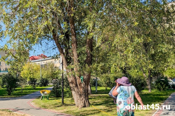 Пенсионерка из Кургана поверила в «проверку» денег и лишилась 650 тысяч рублей Пенсионерка из Кургана поверила в «проверку» денег и лишилась 650 тысяч рублей