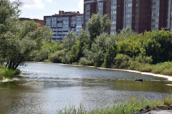 В курганском ЦПКиО начали чистить Битёвку от ряски В курганском ЦПКиО начали чистить Битёвку от ряски