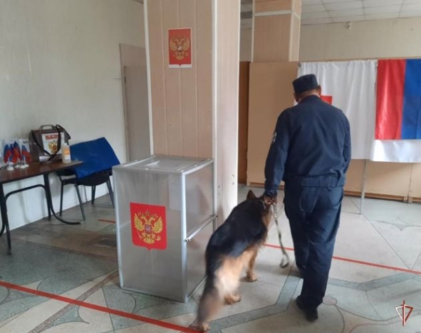 В Зауралье сотрудники Росгвардии проверяют избирательные участки накануне выборов В Зауралье сотрудники Росгвардии проверяют избирательные участки накануне выборов