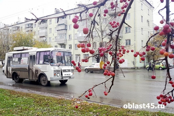 Из-за дорожных работ курганские автобусы изменят маршруты на несколько дней Из-за дорожных работ курганские автобусы изменят маршруты на несколько дней