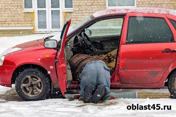 В Курганской области задержали угонщика В Курганской области задержали угонщика