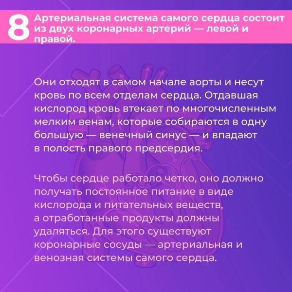 Сердце &mdash; один из самых важных органов человека. Благодаря его стабильной и правильной работе другие органы насыщаются кислородом и питательными веществами