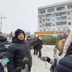 
											Журналисты санитарного патруля проверили елочные базары Кургана									