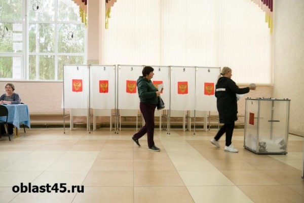 В Курганской области растёт количество желающих стать депутатами