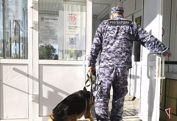 В Зауралье сотрудники Росгвардии проверяют избирательные участки накануне выборов В Зауралье сотрудники Росгвардии проверяют избирательные участки накануне выборов