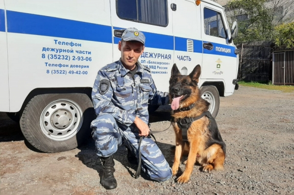 В Курганской области служебные собаки помогли раскрыть 50 преступлений В Курганской области служебные собаки помогли раскрыть 50 преступлений