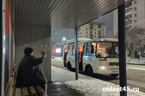 Курганский автобус сняли с рейса из-за технических неполадок Курганский автобус сняли с рейса из-за технических неполадок